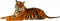 Tiger - Free PNG Animated GIF