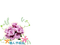 cadre fleurs - PNG gratuit GIF animé