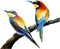 oiseau - Free PNG Animated GIF
