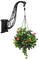 flores maceta colgante dubravka4 - Free PNG Animated GIF