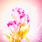 background hintergrund fondo flowers milla1959 - 免费动画 GIF 动画 GIF