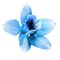 Kaz_Creations Deco Flower  Colours - bezmaksas png animēts GIF
