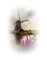 loly33 moulin - bezmaksas png animēts GIF