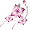 Kaz_Creations Flowers Deco Flower Colours - png gratis GIF animado