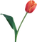 Frühling, Blumen - png gratis GIF animasi