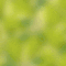 Pears Background - 免费动画 GIF 动画 GIF