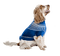 dog - Nitsa 5 - Free PNG Animated GIF