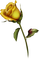 Kaz_Creations Flowers Flower - фрее пнг анимирани ГИФ