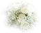 MUGUET lily of the valley white rose muguet - png gratis GIF animado