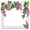 frame lilac  cadre fleur - PNG gratuit GIF animé