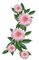 Blumen, rosa - nemokama png animuotas GIF