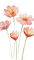 flowers deco - PNG gratuit GIF animé