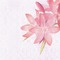 Kaz_Creations Backgrounds Background Flowers - png gratuito GIF animata