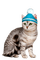 chat   idca - 免费PNG 动画 GIF