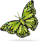 papillion - PNG gratuit GIF animé