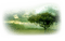paysage - 免费PNG 动画 GIF