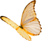 All  my butterflys - ücretsiz png animasyonlu GIF