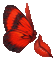 papillon - Bezmaksas animēts GIF animēts GIF