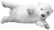 Polar.Bear.Cub.White - nemokama png animuotas GIF