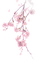 Cherry Blossom Branch - darmowe png animowany gif