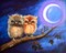 owl - zadarmo png animovaný GIF