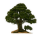 дерево. - Free PNG Animated GIF