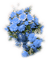 vase flower dubravka4 - png gratis GIF animado