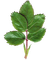 листья - zadarmo png animovaný GIF