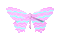 Butterfly - Bezmaksas animēts GIF animēts GIF
