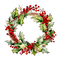 Christmas Wreath - gratis png geanimeerde GIF