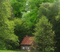 Wald - png gratis GIF animado