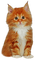 ginger kitten - бесплатно png анимированный гифка
