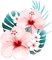 soave deco summer flowers tropical pink teal - png grátis Gif Animado