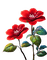 Flores - png gratuito GIF animata