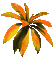 Planta de otoño - GIF เคลื่อนไหวฟรี GIF แบบเคลื่อนไหว