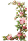 cadre avec roses - gratis png animerad GIF