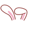 ✿♡Bunny Ears♡✿ - kostenlos png Animiertes GIF