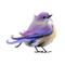 Kaz_Creations Bird Birds Purple - PNG gratuit GIF animé