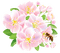 Kaz_Creations Spring Flowers - ücretsiz png animasyonlu GIF