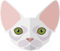 cat face - zadarmo png animovaný GIF