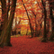animated fall background - Zdarma animovaný GIF animovaný GIF