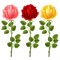 rosas-l - darmowe png animowany gif