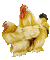 poule - 無料のアニメーション GIF アニメーションGIF