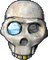 Petz Pirate Skull - png gratuito GIF animata