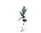 flowers anastasia - Darmowy animowany GIF animowany gif
