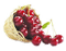 fruit cherries bp - Free PNG Animated GIF