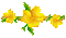 flores - Darmowy animowany GIF animowany gif