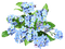 blue flowers - PNG gratuit GIF animé