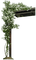 flores columna dubravka4 - Free PNG Animated GIF