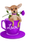 chien dog hund cup - Free PNG Animated GIF